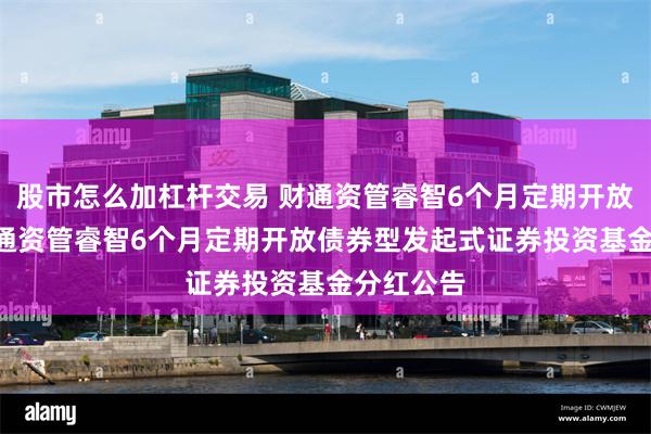 股市怎么加杠杆交易 财通资管睿智6个月定期开放债券: 财通资管睿智6个月定期开放债券型发起式证券投资基金分红公告