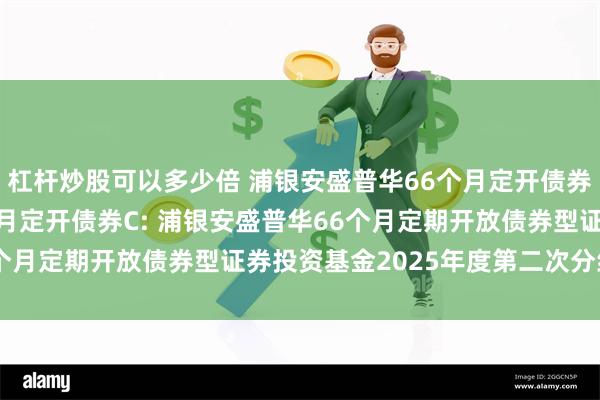 杠杆炒股可以多少倍 浦银安盛普华66个月定开债券A,浦银安盛普华66个月定开债券C: 浦银安盛普华66个月定期开放债券型证券投资基金2025年度第二次分红公告